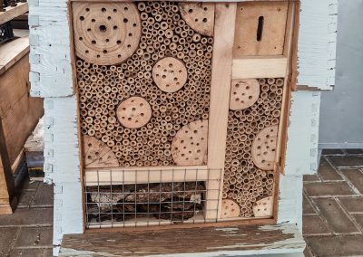 The first Environmental and Biodiversity work begins