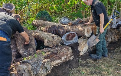 The first Environmental and Biodiversity work begins