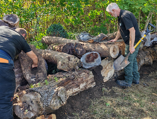 The first Environmental and Biodiversity work begins